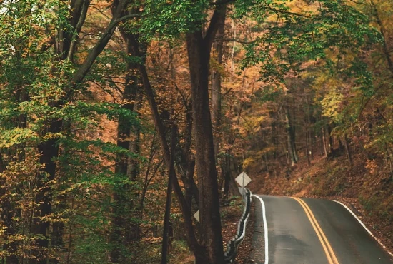 Epic Road Trips from Lakeland, FL: Exploring Nearby Gems