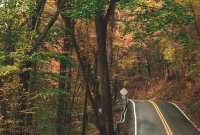 Epic Road Trips from Lakeland, FL: Exploring Nearby Gems